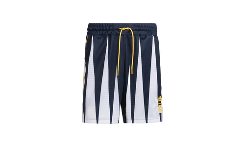 Eric Emanual Hoops Summer Essentials Shorts "Legend Ink" H56398