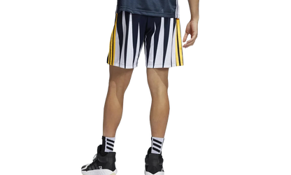 Eric Emanual Hoops Summer Essentials Shorts "Legend Ink" H56398