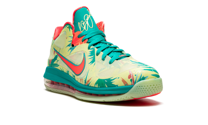 LeBron 9 Low "LeBronald Palmer" DO9355 300