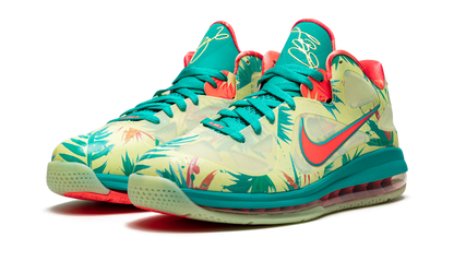 LeBron 9 Low "LeBronald Palmer" DO9355 300
