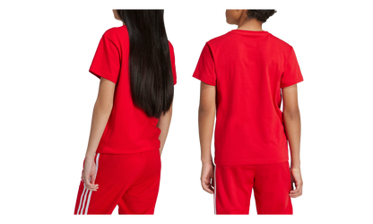 Originals Adicolor Trefoil Tee "Better Scarlet" IY7423