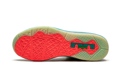 LeBron 9 Low "LeBronald Palmer" DO9355 300