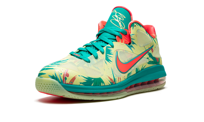 LeBron 9 Low "LeBronald Palmer" DO9355 300